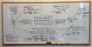 josh_herr_environmental_sequence_data_mind_map
