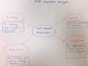 concept_map