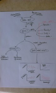 Concept_Map_GLMs