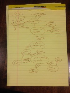 watering plants concept map