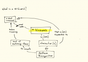 What is a wildcard?