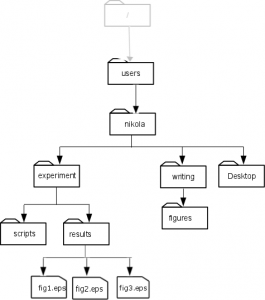 Directory Structure